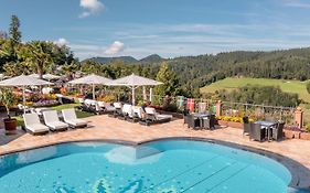 Hotel Dollenberg 5*